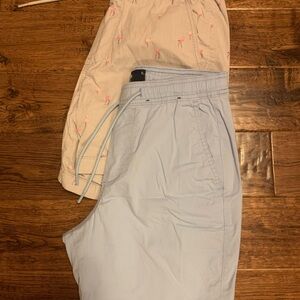 Hollister Light Blue and Cream Men Shorts